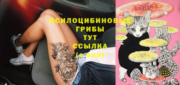 прущий лед Майский