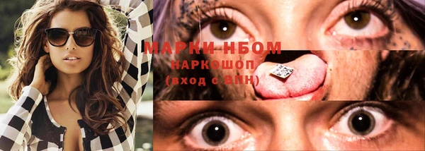 PSILOCYBIN Магас