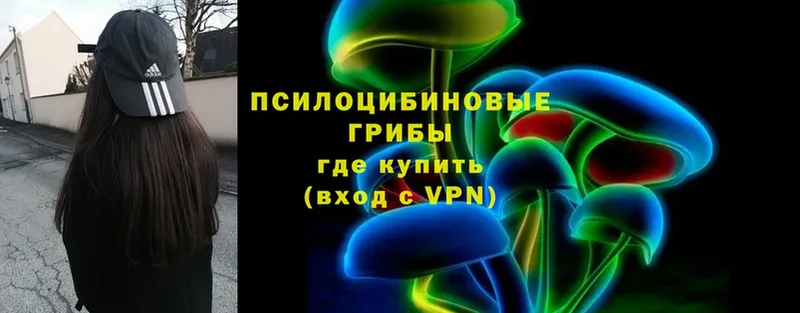 Псилоцибиновые грибы MAGIC MUSHROOMS  Норильск 