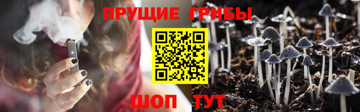 Псилоцибиновые грибы GOLDEN TEACHER  купить  цена  Норильск 