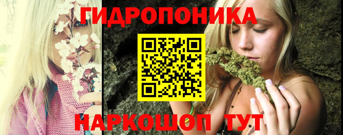 Канабис MAZAR  Канабис MAZAR  Каннабис SATIVA & INDICA  Норильск 